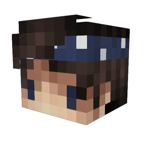 _BaumJunge_ Minecraft avatar head, 3D render