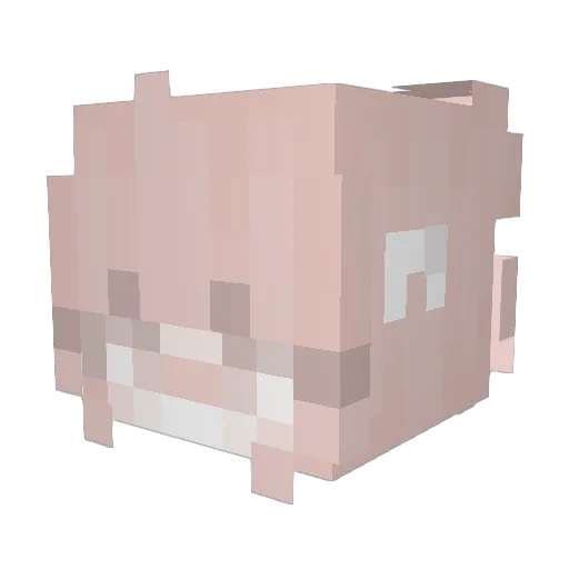 _Bblossom Minecraft avatar head, 3D render