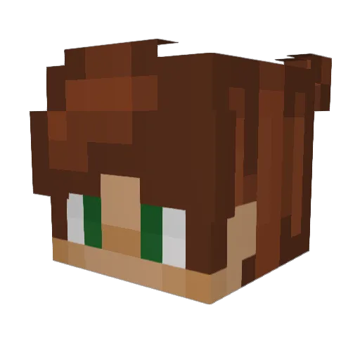 _BcWhyNot_ Minecraft avatar head, 3D render