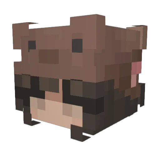 _Beau____ Minecraft avatar head, 3D render