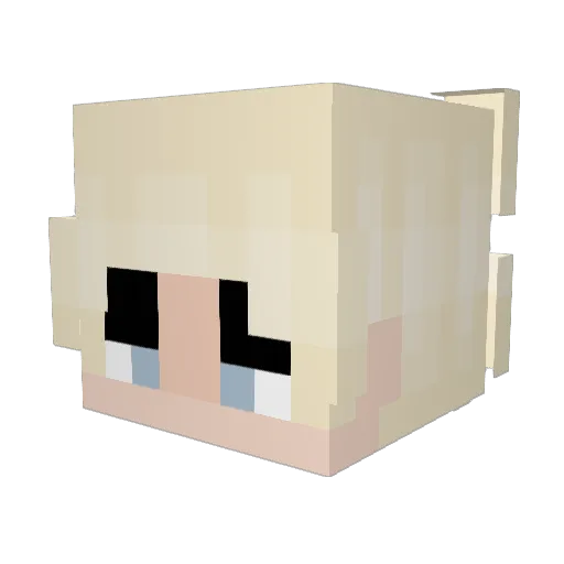 _Bebok Minecraft avatar head, 3D render