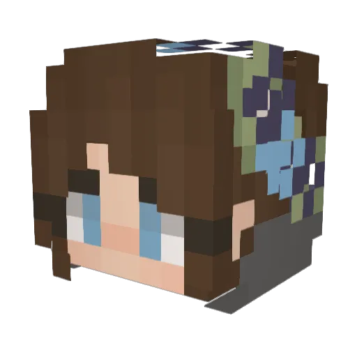 _BeeBzy_ Minecraft avatar head, 3D render