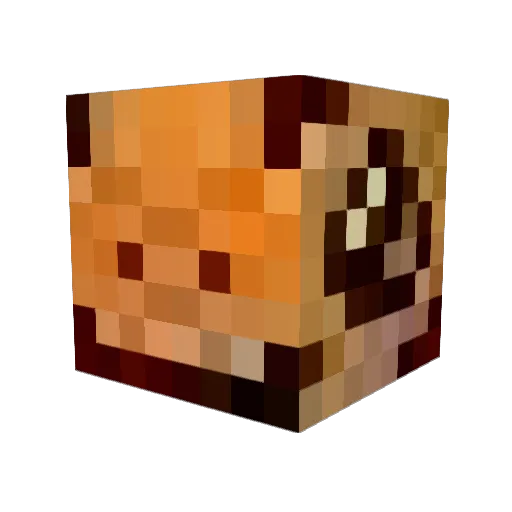 _BeepBoop Minecraft avatar head, 3D render