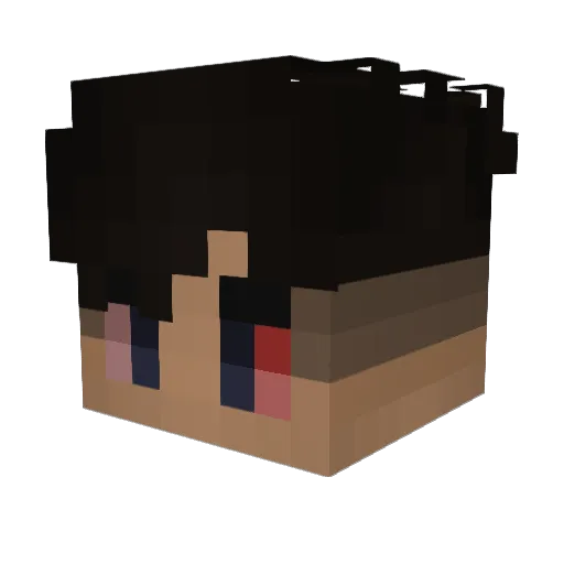 _Benixx_ Minecraft avatar head, 3D render