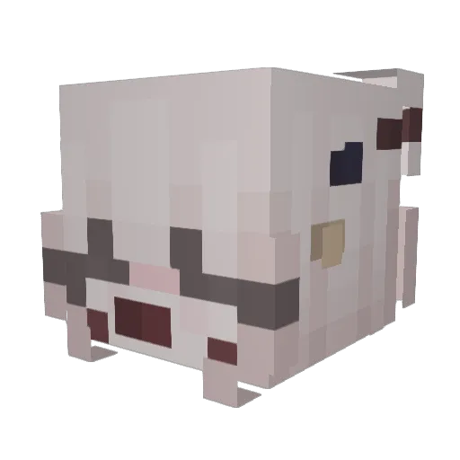 _Benjam1n Minecraft avatar head, 3D render