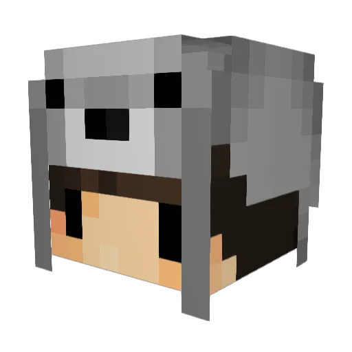 _BestKungZ Minecraft avatar head, 3D render