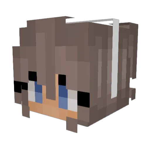 _Bethers Minecraft avatar head, 3D render