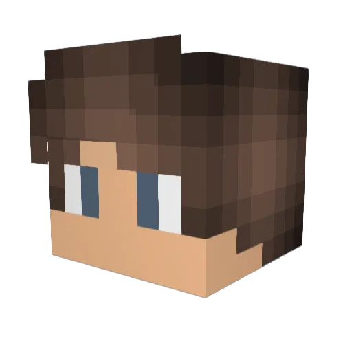 _BetterWatchOut_ Minecraft avatar head, 3D render