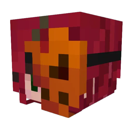 _BettyBear_ Minecraft avatar head, 3D render