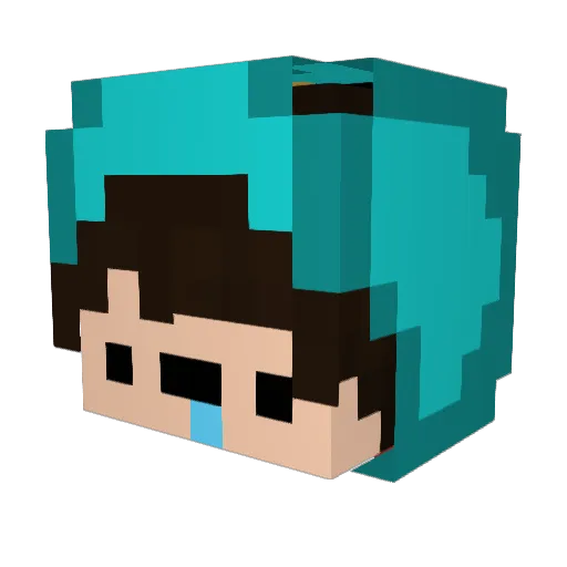 _BimKuhl Minecraft avatar head, 3D render