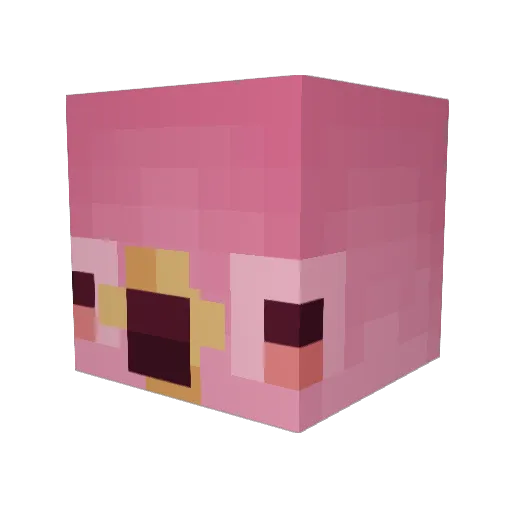 _BirbBoii_ Minecraft avatar head, 3D render