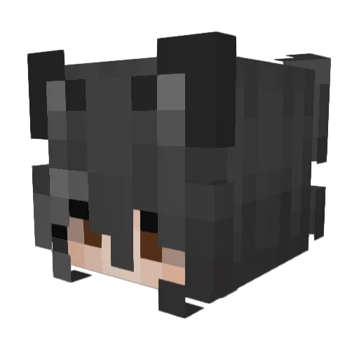 _Biscoizin Minecraft avatar head, 3D render