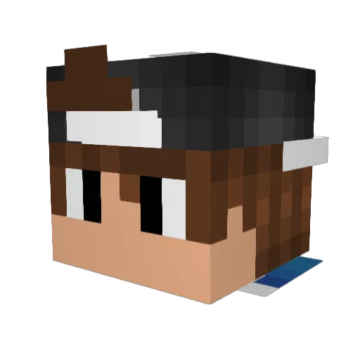 _BlackBelt Minecraft avatar head, 3D render
