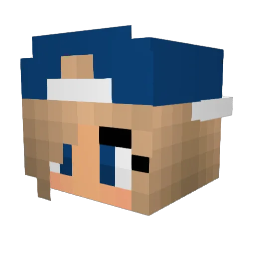 _BlackOut Minecraft avatar head, 3D render