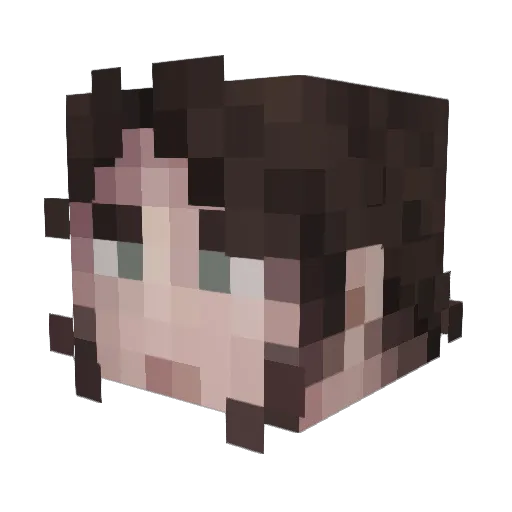 _Black_Fire_ Minecraft avatar head, 3D render