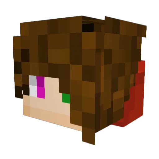_Black_Lord_ Minecraft avatar head, 3D render
