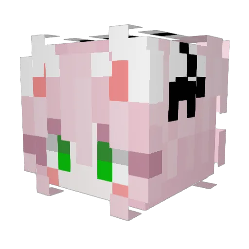 _Blaine_ Minecraft avatar head, 3D render