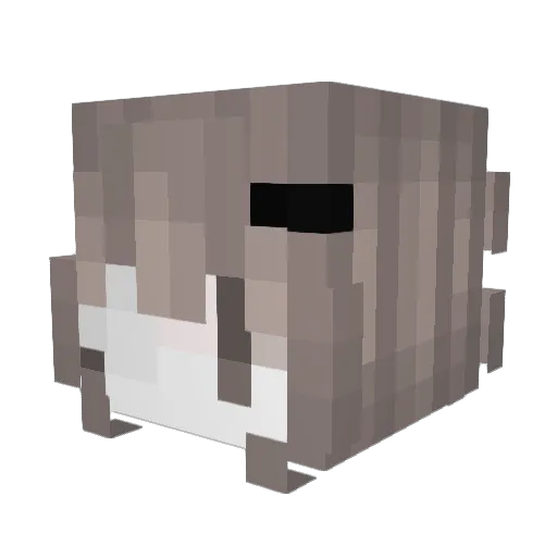 _Blakeness Minecraft avatar head, 3D render