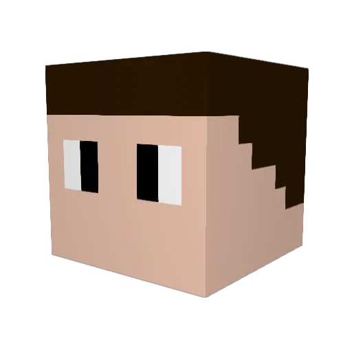 _Blanke Minecraft avatar head, 3D render