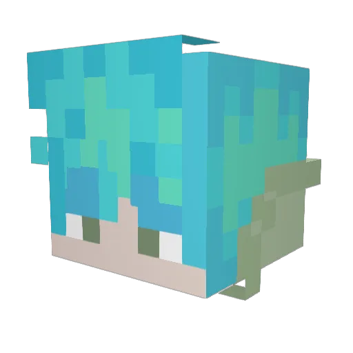_Blayke Minecraft avatar head, 3D render