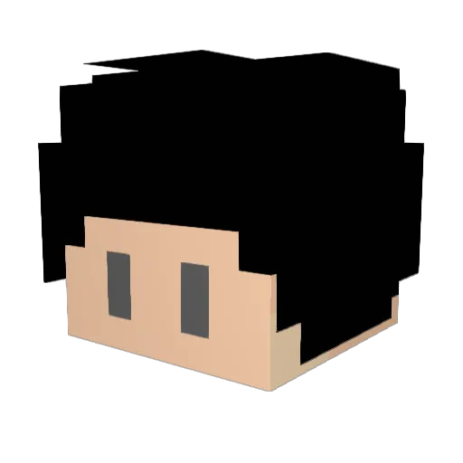 _BleHe_ Minecraft avatar head, 3D render