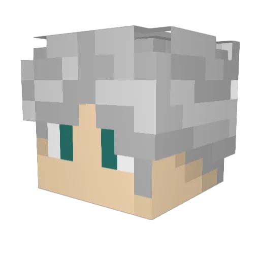 _BloopS Minecraft avatar head, 3D render