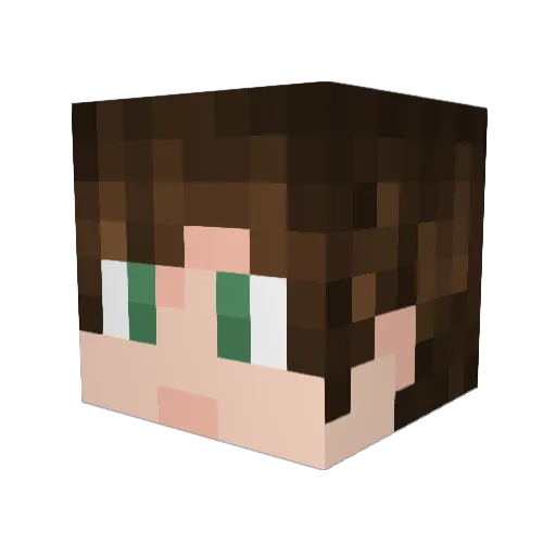 _Blue_Sword_ Minecraft avatar head, 3D render