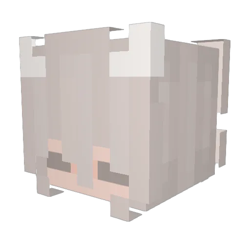 _Blurri Minecraft avatar head, 3D render