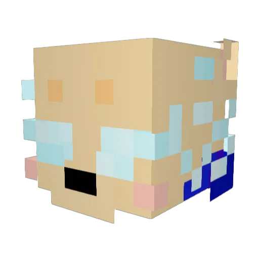 _BobaCat_ Minecraft avatar head, 3D render