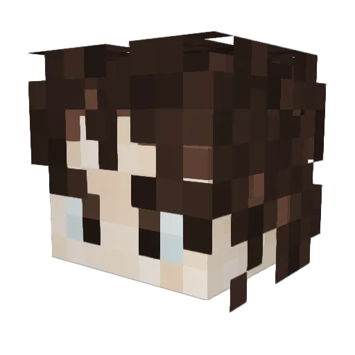 _Boberlo_ Minecraft avatar head, 3D render