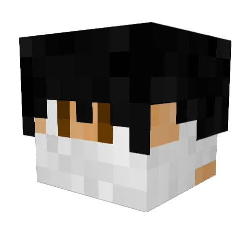 _Boggie Minecraft avatar head, 3D render