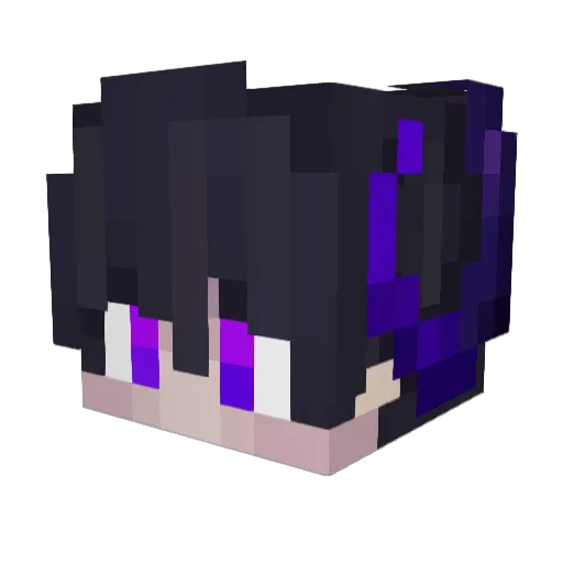 _Boii_ Minecraft avatar head, 3D render