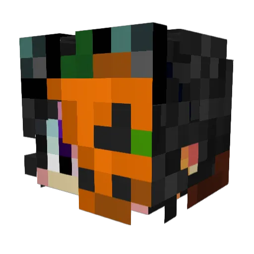 _Boni_04 Minecraft avatar head, 3D render
