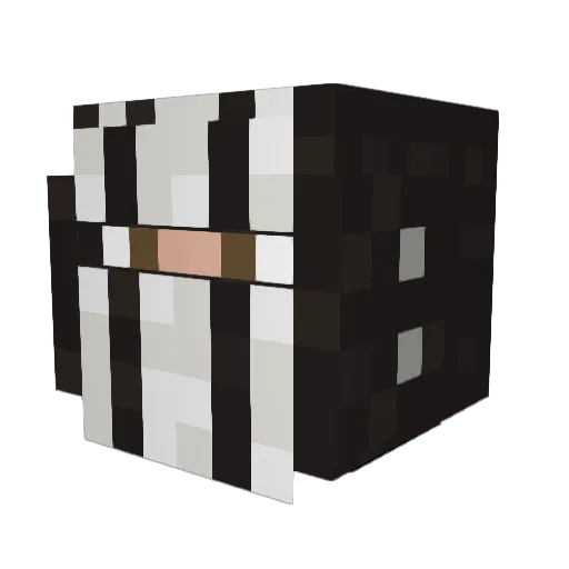 _BonkVonk_ Minecraft avatar head, 3D render