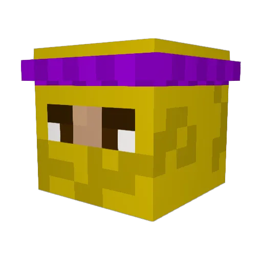 _BoopaDoop_ Minecraft avatar head, 3D render