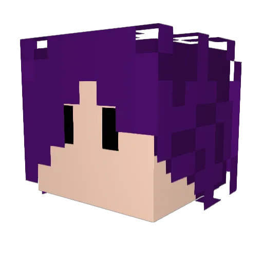 _BorealForest Minecraft avatar head, 3D render