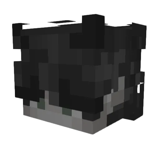 _Born00 Minecraft avatar head, 3D render