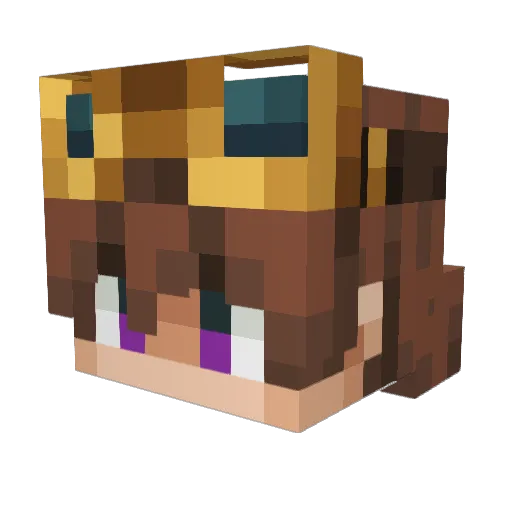 _Botelh Minecraft avatar head, 3D render