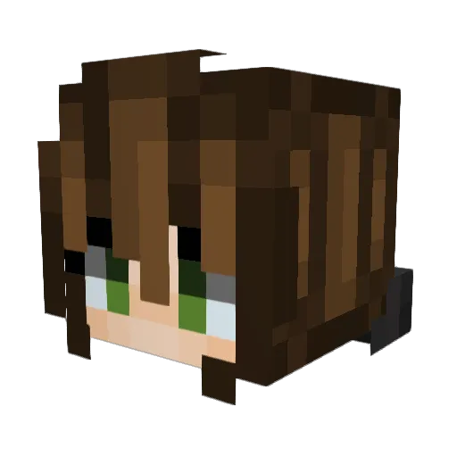 _Brio Minecraft avatar head, 3D render
