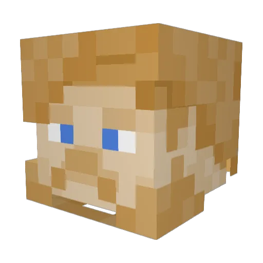 _BroTime_ Minecraft avatar head, 3D render