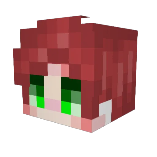 _Bro_Master2 Minecraft avatar head, 3D render
