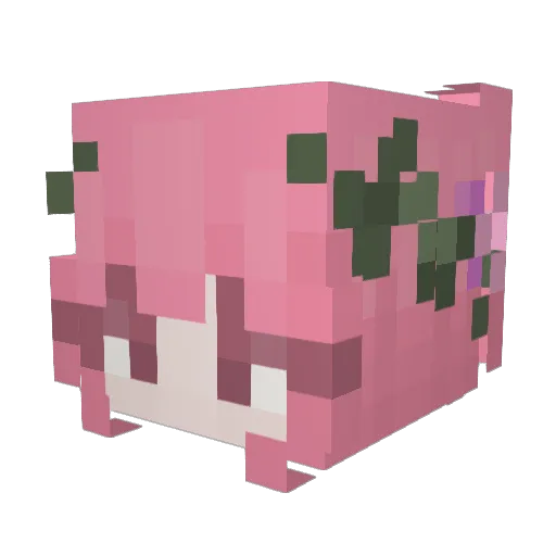 _BubbleBee Minecraft avatar head, 3D render