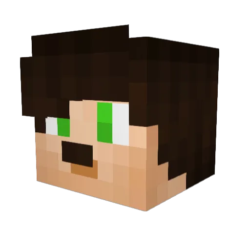 _BugraaK___ Minecraft avatar head, 3D render