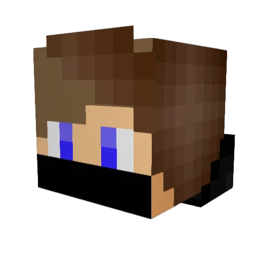 _BuilderRice_ Minecraft avatar head, 3D render