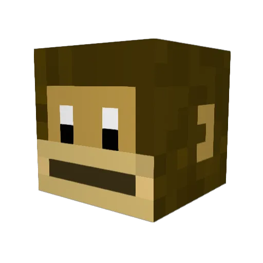 _Bumi_ Minecraft avatar head, 3D render