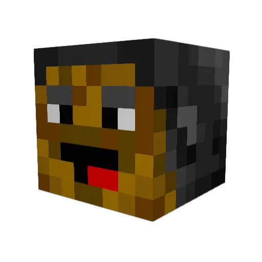 _BurntAsian_ Minecraft avatar head, 3D render