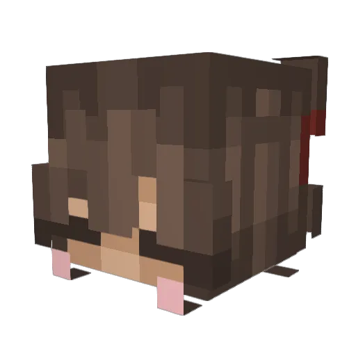 _BurntTea_ Minecraft avatar head, 3D render