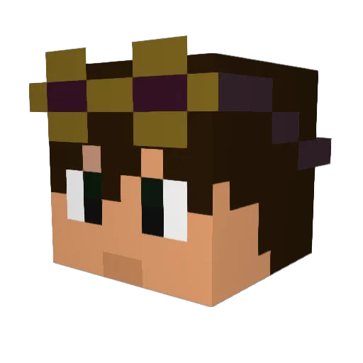 _BuyLowSellHigh_ Minecraft avatar head, 3D render
