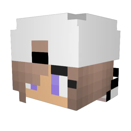 _BwSkills3000_ Minecraft avatar head, 3D render