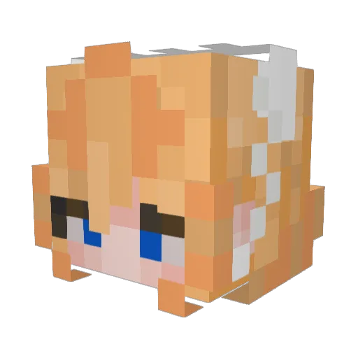_Bxsic_ Minecraft avatar head, 3D render